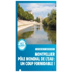 Montpellier pôle mondial de l'eau : un coup formidable